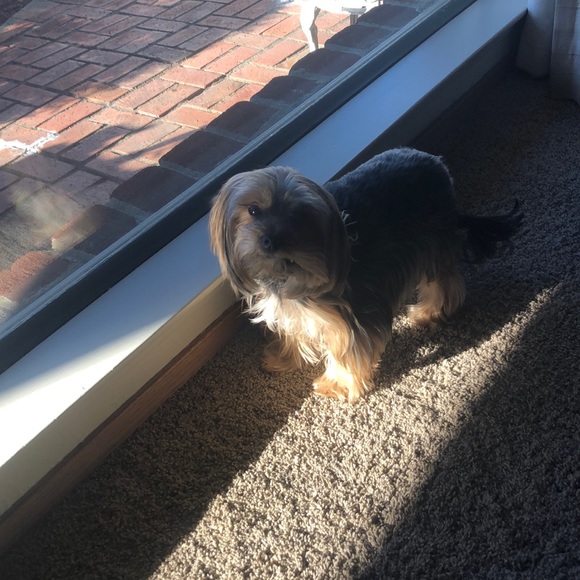 Meet your Posher, Summer - Picture 1 of 1